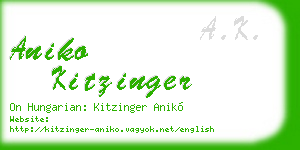 aniko kitzinger business card